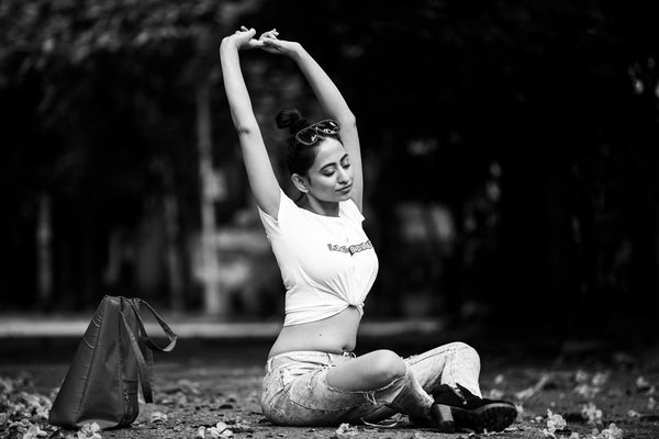 Guida definitiva: come selezionare e disporre le piante ideali per un terrario domestico di grandi dimensioni