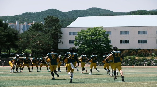 Come realizzare un sistema di compostaggio inodore per il tuo piccolo giardino: soluzioni efficaci e innovative