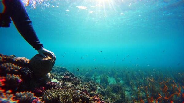 I migliori strumenti per la pesca subacquea da provare